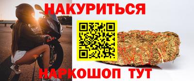 индика Аргун