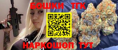 индика Аргун